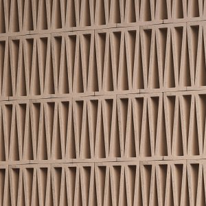 كتلة Celosia واحدة من التيراكوتا المبثوقة