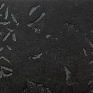 أرضية Chymia في منطقة مكتبية مكثّفة الاستخدام