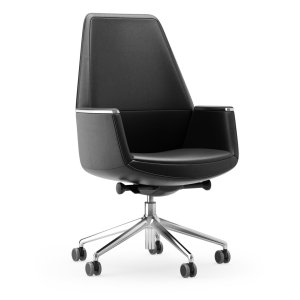 Musa Chair في مكتب تنفيذي