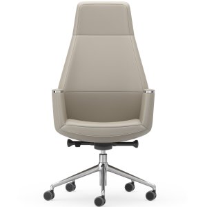 Musa Chair في قاعة اجتماعات
