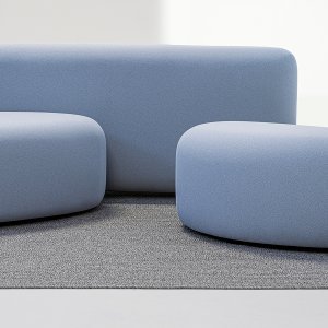 البوف الصغير من عائلة Lisse وحده على أرضية فاتحة اللون