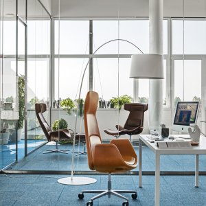 Nordic بلونين وقواقع متباينة