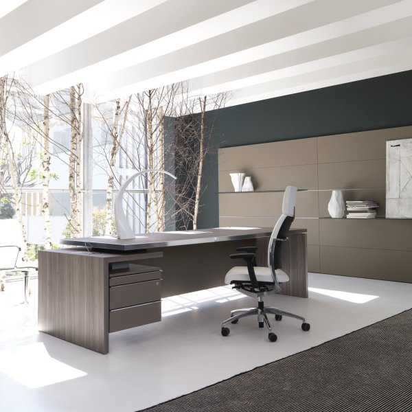 جناح إدارة من IVM Office مع مكتب ومنطقة استقبال